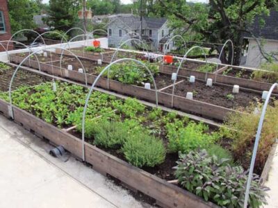 Fighting for a Sane Food System Image